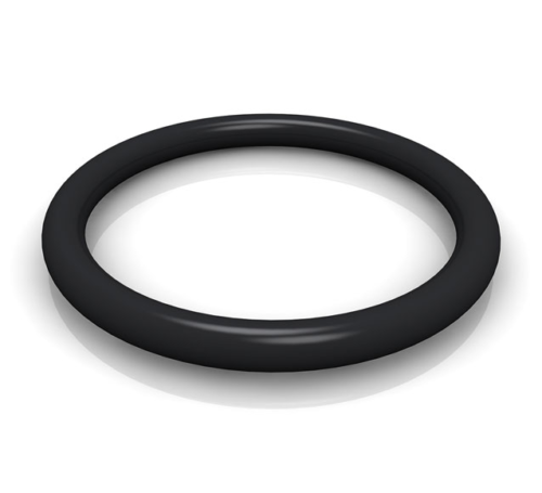 O-Ring FS200 NK