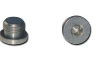 Plug 3/4"